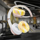 WC Solo SweatZ Protective Headphone Earpad Cover | Yellow Starburst
